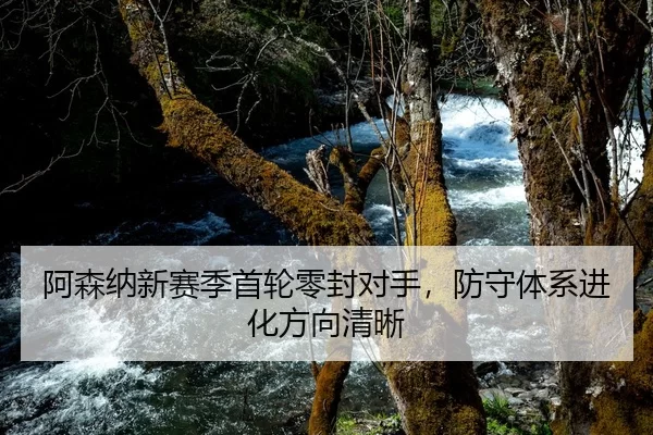 阿森纳新赛季首轮零封对手，防守体系进化方向清晰