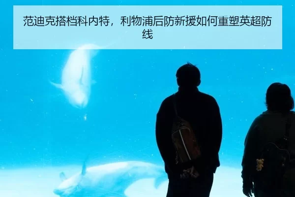 fan-di-ke-da-dang-ke-nei-te-li-wu-pu-hou-fang-xin-yuan-ru-he-zhong-su-ying-chao-fang-xian-3-509.jpg